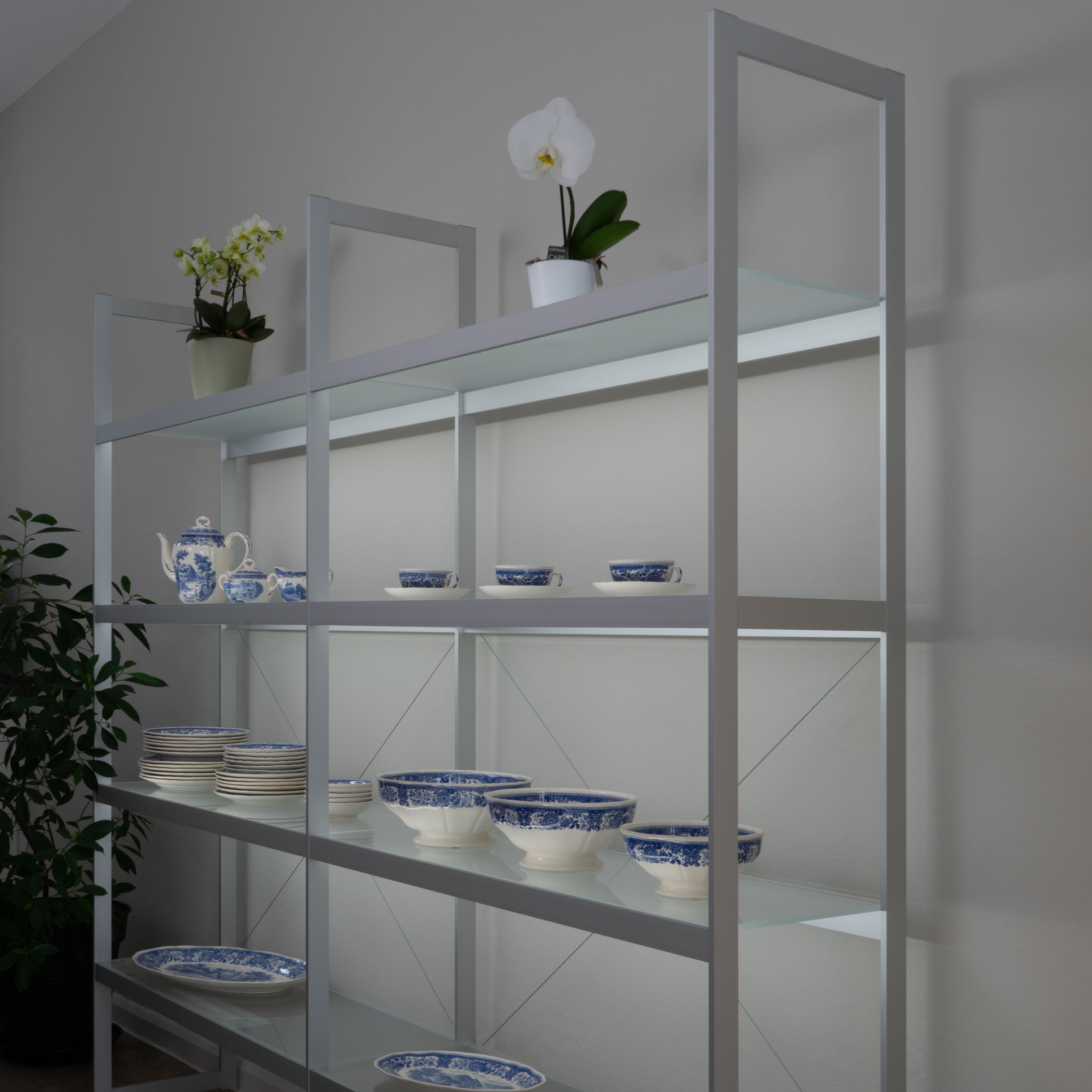 AUDAPHON Lichtregal 200x35x185 mit Geschirr Blumen Licht Bildformat 1zu1