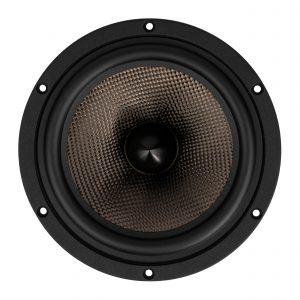 AUDAPHON WCL 180-8-HO Tiefmitteltöner Front Bildformat 2500x2500