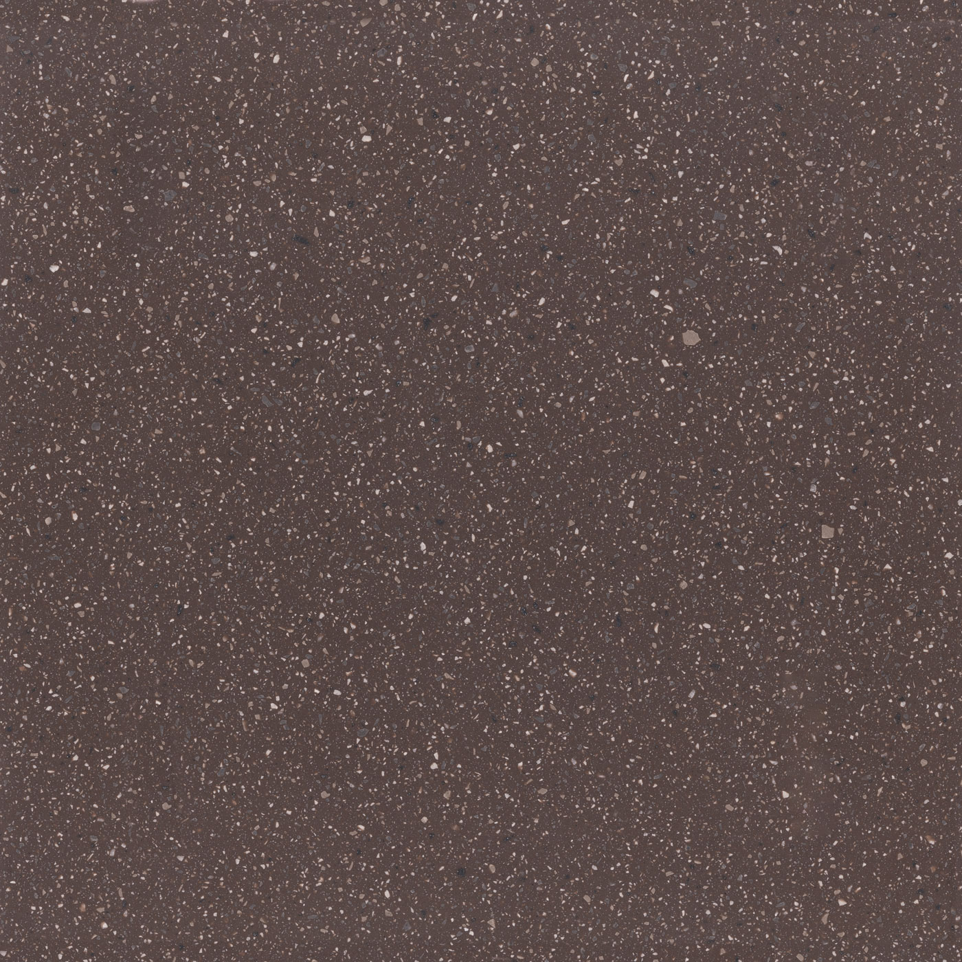 pattern_city_roast